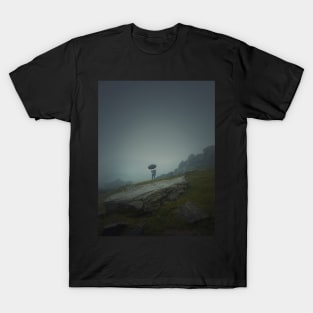 lone stranger in the haze T-Shirt